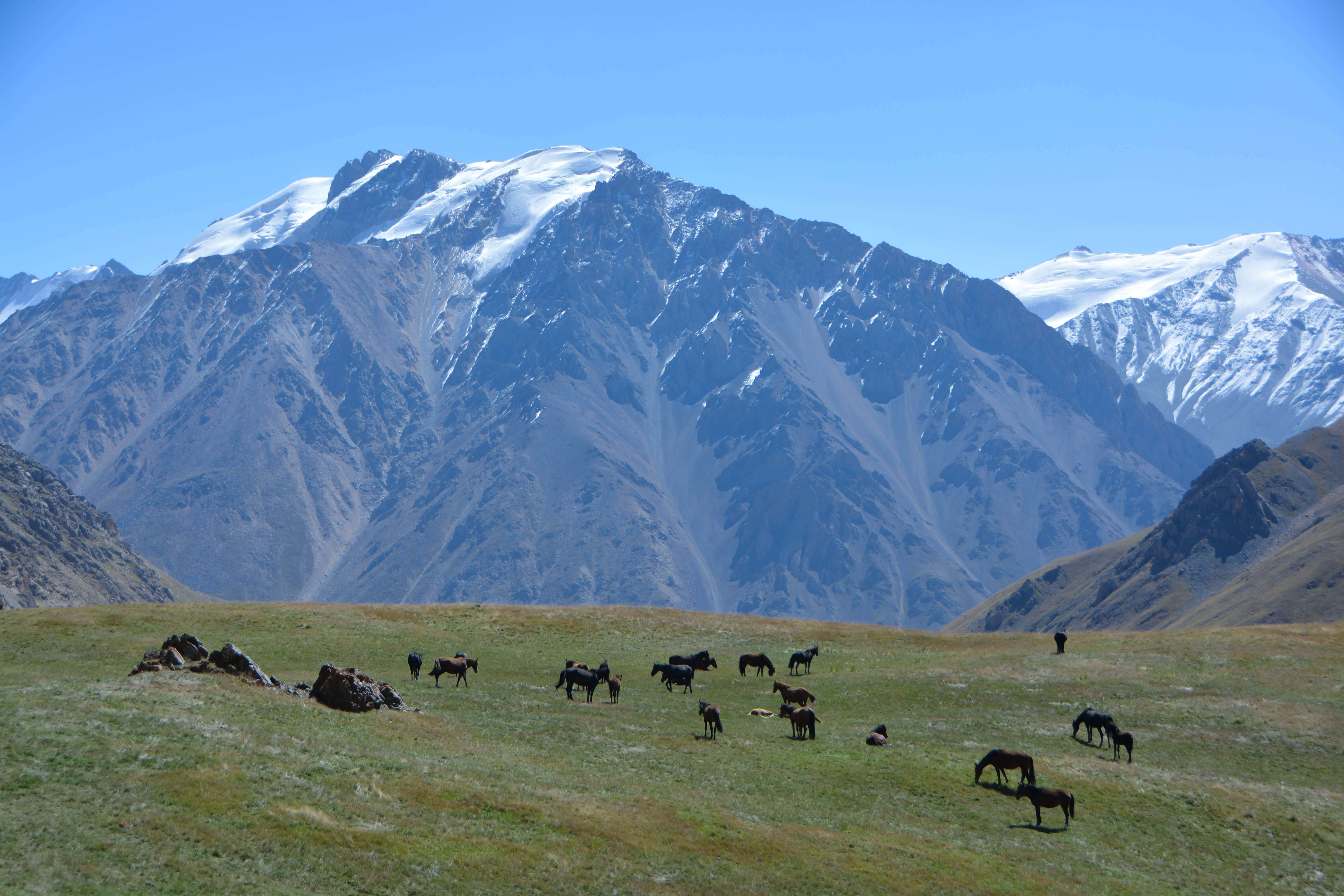 trek kirghizistan, vtt kirghizistan, trekking kirghizistan, ski kirghizistan, monts célestes kirghizistan, trek kirghizie, séjour kirghizistan, velo kirghizistan, ski de randonnée kirghizistan, trek au kirghizistan, trekking kirghizie, rando à cheval kirghizistan, trek à cheval kirghizistan, randonnée kirghizistan, kirghizistan à vélo, vtt ouzbékistan, voyage ouzbékistan, randonnée tadjikistan, kirghizistan trek, randonnée asie centrale, les monts célestes, voyage au kirghizistan, voyage kirghizie, voyage kirghizistan, kirghizistan voyage, agence de voyage kirghizistan, agence de trek kirghizistan