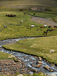 trek kirghizistan, vtt kirghizistan, trekking kirghizistan, ski kirghizistan, monts célestes kirghizistan, trek kirghizie, séjour kirghizistan, velo kirghizistan, ski de randonnée kirghizistan, trek au kirghizistan, trekking kirghizie, rando à cheval kirghizistan, trek à cheval kirghizistan, randonnée kirghizistan, kirghizistan à vélo, vtt ouzbékistan, voyage ouzbékistan, randonnée tadjikistan, kirghizistan trek, randonnée asie centrale, les monts célestes, voyage au kirghizistan, voyage kirghizie, voyage kirghizistan, kirghizistan voyage, agence de voyage kirghizistan, agence de trek kirghizistan, monts celestes trekking kirghizistan, blog kirghizistan, kirghizistan carte, multi activité kirghizistan, multi activité kirghizie