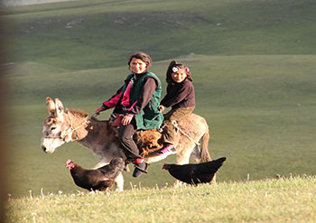trek kirghizistan, vtt kirghizistan, trekking kirghizistan, ski kirghizistan, monts célestes kirghizistan, trek kirghizie, séjour kirghizistan, velo kirghizistan, ski de randonnée kirghizistan, trek au kirghizistan, trekking kirghizie, rando à cheval kirghizistan, trek à cheval kirghizistan, randonnée kirghizistan, kirghizistan à vélo, vtt ouzbékistan, voyage ouzbékistan, randonnée tadjikistan, kirghizistan trek, randonnée asie centrale, les monts célestes, voyage au kirghizistan, voyage kirghizie, voyage kirghizistan, kirghizistan voyage